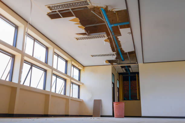 Best Ceiling water damage repair  in Pittsburg, TX