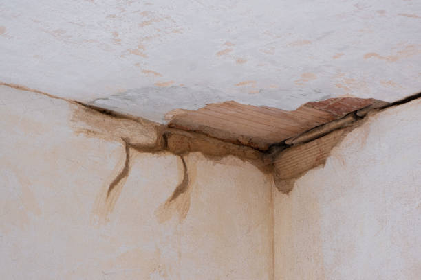Best Fire Damage Restoration  in Pittsburg, TX