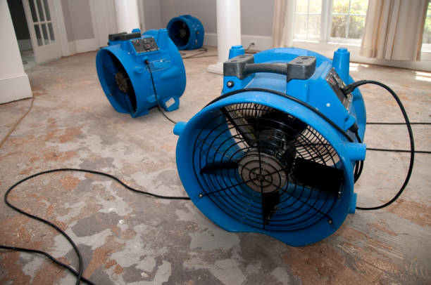 Best Carpet water damage restoration  in Pittsburg, TX